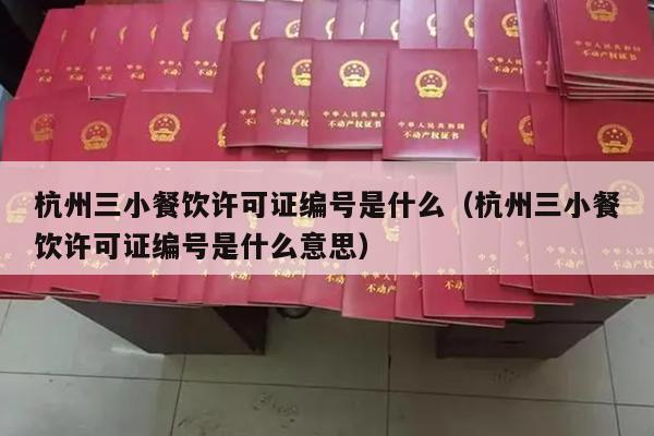 杭州三小餐饮许可证编号是什么（杭州三小餐饮许可证编号是什么意思）