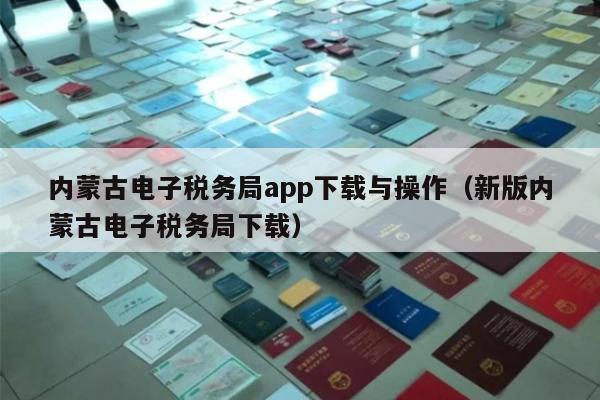 内蒙古电子税务局app下载与操作（新版内蒙古电子税务局下载）