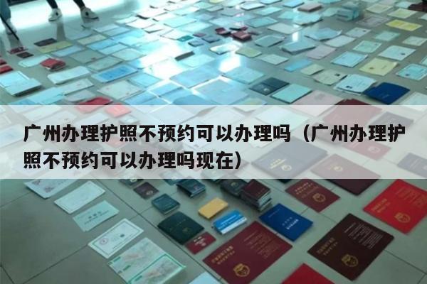 广州办理护照不预约可以办理吗（广州办理护照不预约可以办理吗现在）
